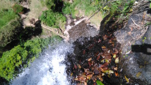 ViewFromAbove