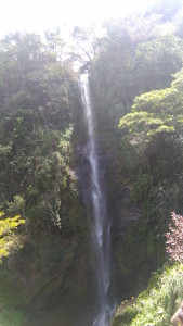 ViewFullFall