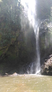 viewfalltogether
