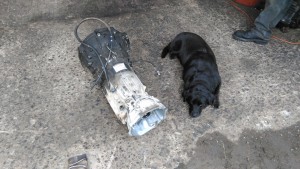 The transmission that soon failed -- and the dog that stopped by for moral support.