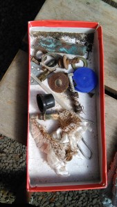You never know when you might need a used snake skin