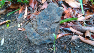 It reads: R.I.P. I love you