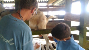 Hands on training from an amazing local farmer -- who is from an equally amazing family