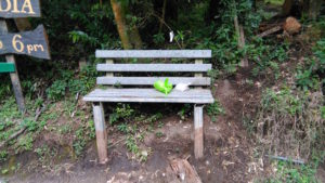It looks inviting, until you realize what you're sitting next to, and on...